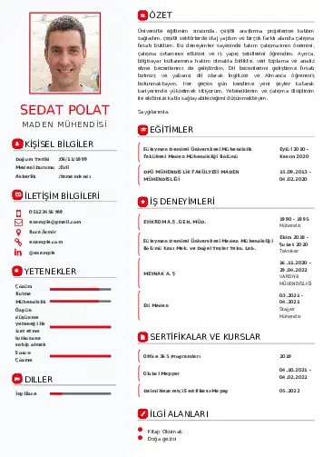 Maden Mühendisi Cv Örnekleri cv indir